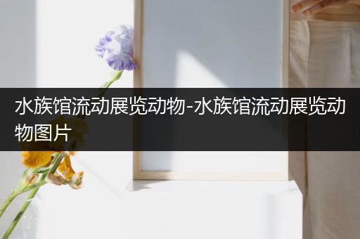水族馆流动展览动物-水族馆流动展览动物图片