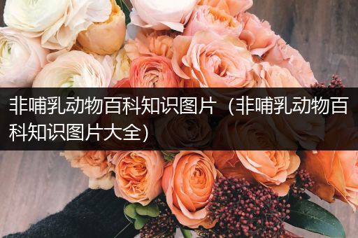 非哺乳动物百科知识图片（非哺乳动物百科知识图片大全）