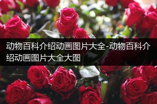 动物百科介绍动画图片大全-动物百科介绍动画图片大全大图