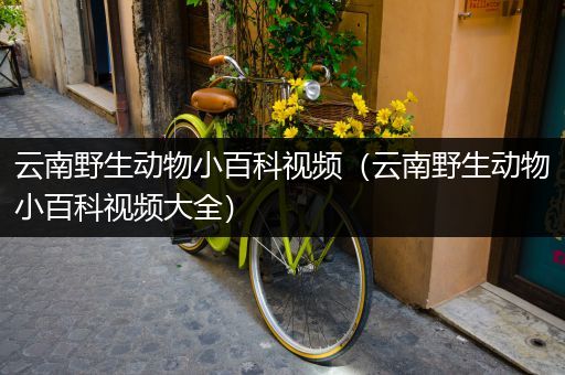 云南野生动物小百科视频（云南野生动物小百科视频大全）