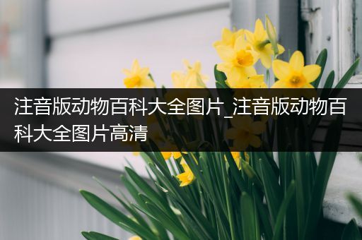 注音版动物百科大全图片_注音版动物百科大全图片高清