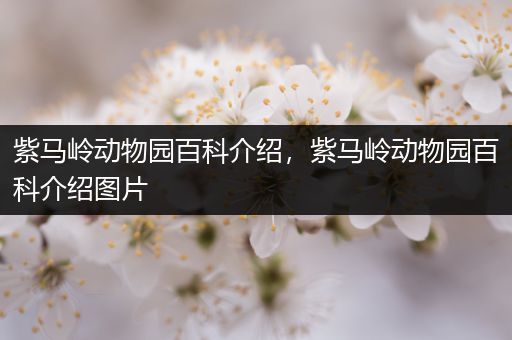 紫马岭动物园百科介绍，紫马岭动物园百科介绍图片