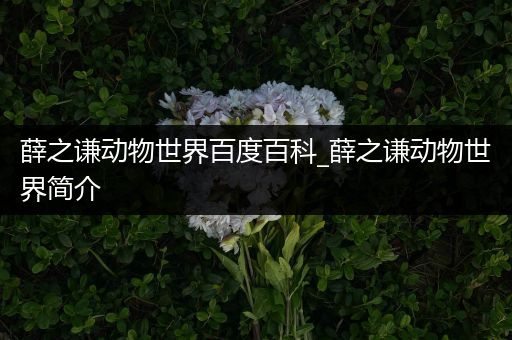 薛之谦动物世界百度百科_薛之谦动物世界简介