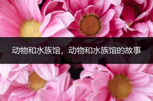 动物和水族馆，动物和水族馆的故事