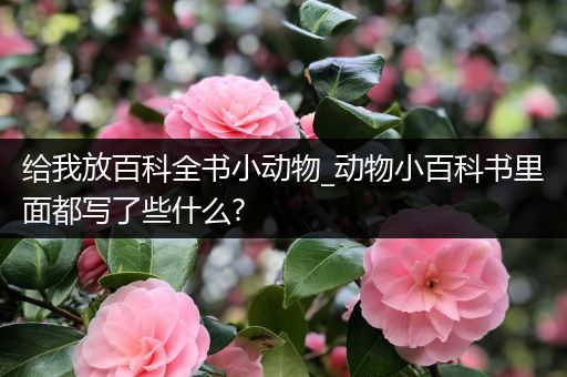 给我放百科全书小动物_动物小百科书里面都写了些什么?