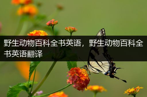 野生动物百科全书英语，野生动物百科全书英语翻译