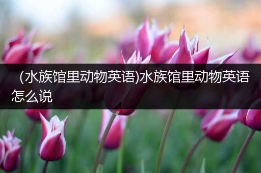 （水族馆里动物英语)水族馆里动物英语怎么说