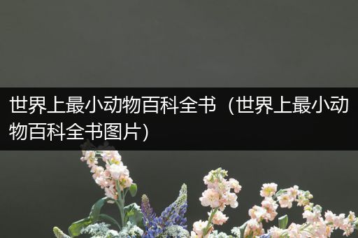 世界上最小动物百科全书（世界上最小动物百科全书图片）