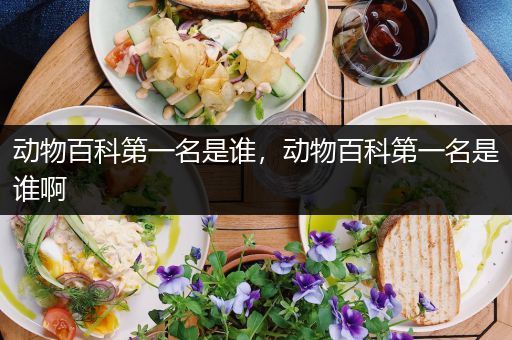 动物百科第一名是谁，动物百科第一名是谁啊