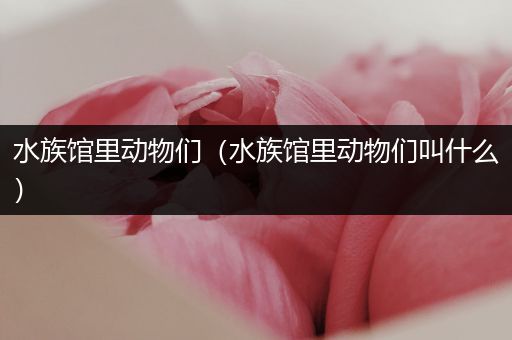 水族馆里动物们（水族馆里动物们叫什么）