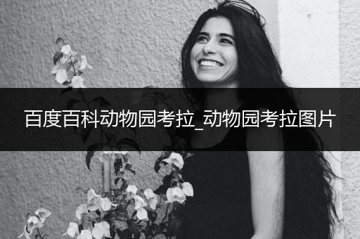 百度百科动物园考拉_动物园考拉图片