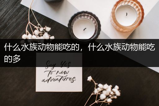 什么水族动物能吃的，什么水族动物能吃的多