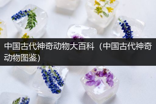 中国古代神奇动物大百科（中国古代神奇动物图鉴）