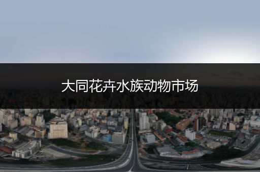 大同花卉水族动物市场