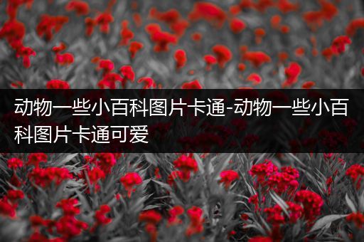 动物一些小百科图片卡通-动物一些小百科图片卡通可爱