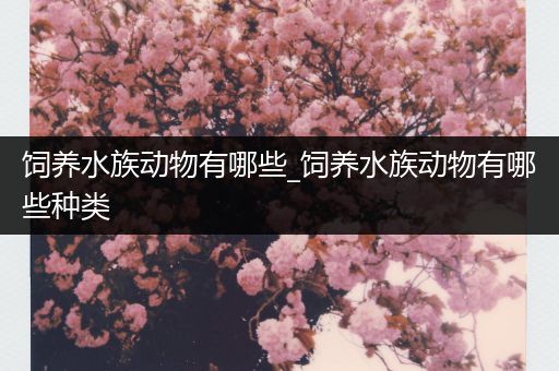 饲养水族动物有哪些_饲养水族动物有哪些种类