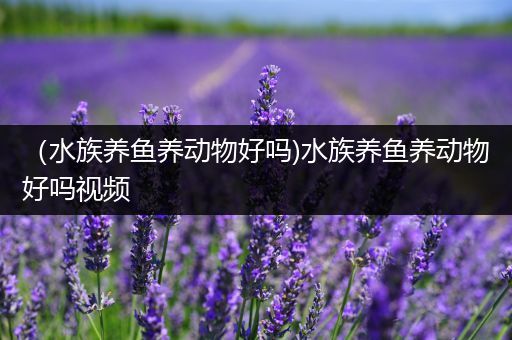 （水族养鱼养动物好吗)水族养鱼养动物好吗视频