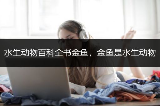 水生动物百科全书金鱼，金鱼是水生动物