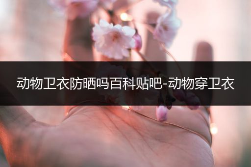 动物卫衣防晒吗百科贴吧-动物穿卫衣