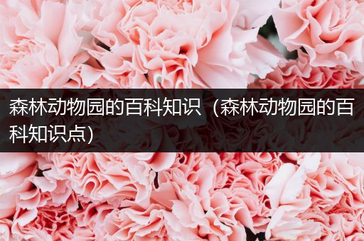 森林动物园的百科知识（森林动物园的百科知识点）