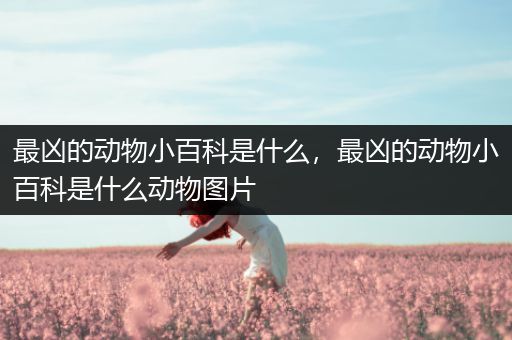 最凶的动物小百科是什么，最凶的动物小百科是什么动物图片