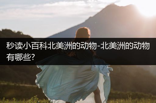秒读小百科北美洲的动物-北美洲的动物有哪些?