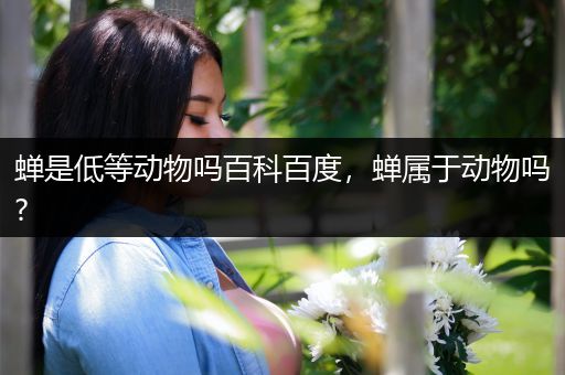 蝉是低等动物吗百科百度，蝉属于动物吗?