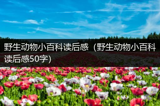 野生动物小百科读后感（野生动物小百科读后感50字）