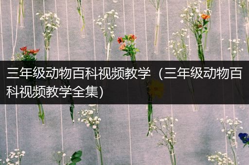 三年级动物百科视频教学（三年级动物百科视频教学全集）
