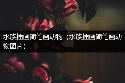 水族插画简笔画动物（水族插画简笔画动物图片）
