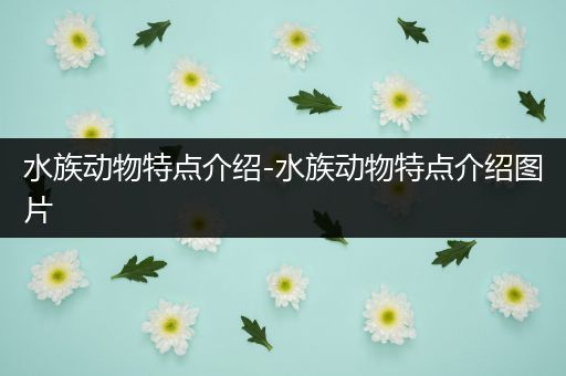 水族动物特点介绍-水族动物特点介绍图片
