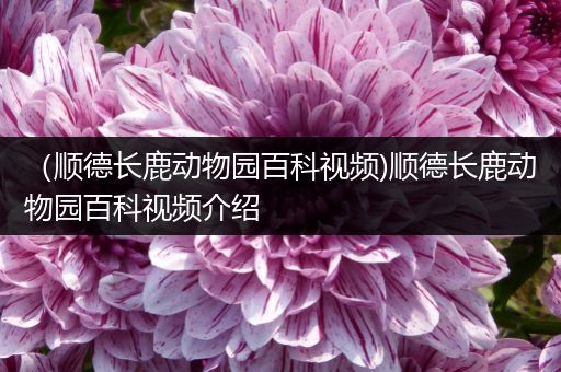（顺德长鹿动物园百科视频)顺德长鹿动物园百科视频介绍