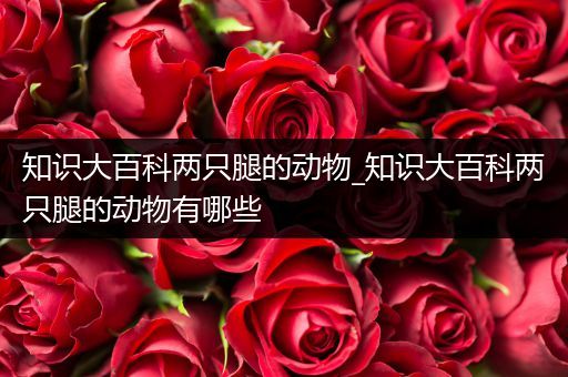 知识大百科两只腿的动物_知识大百科两只腿的动物有哪些