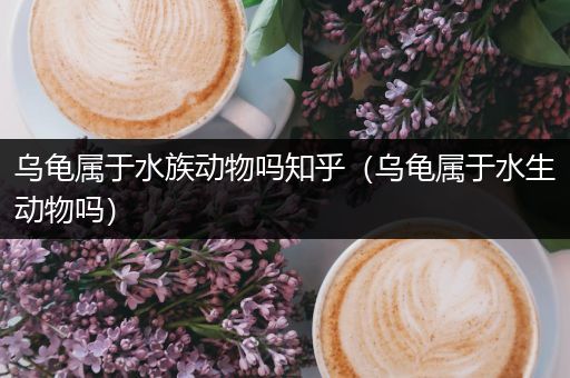 乌龟属于水族动物吗知乎（乌龟属于水生动物吗）