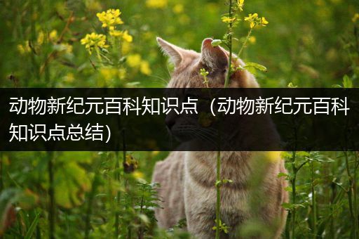 动物新纪元百科知识点（动物新纪元百科知识点总结）