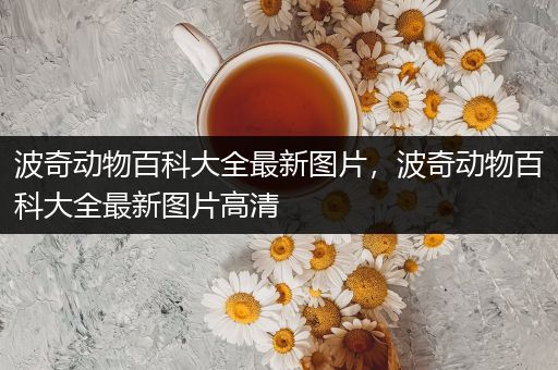 波奇动物百科大全最新图片，波奇动物百科大全最新图片高清