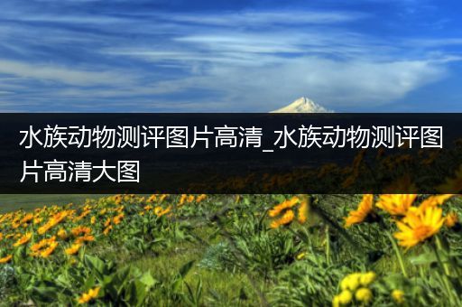 水族动物测评图片高清_水族动物测评图片高清大图