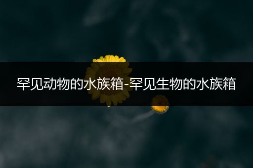 罕见动物的水族箱-罕见生物的水族箱