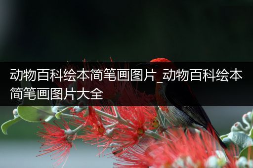 动物百科绘本简笔画图片_动物百科绘本简笔画图片大全