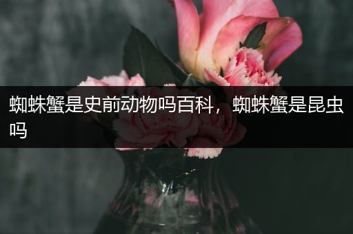 蜘蛛蟹是史前动物吗百科，蜘蛛蟹是昆虫吗