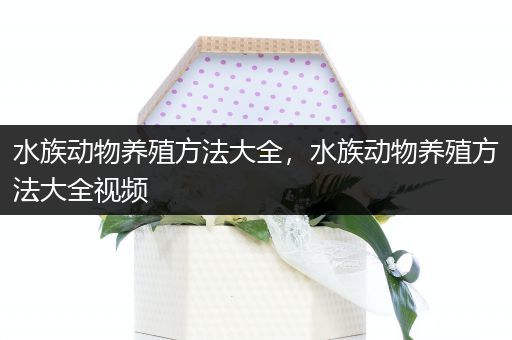 水族动物养殖方法大全，水族动物养殖方法大全视频