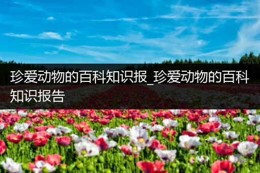 珍爱动物的百科知识报_珍爱动物的百科知识报告