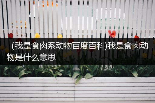 （我是食肉系动物百度百科)我是食肉动物是什么意思