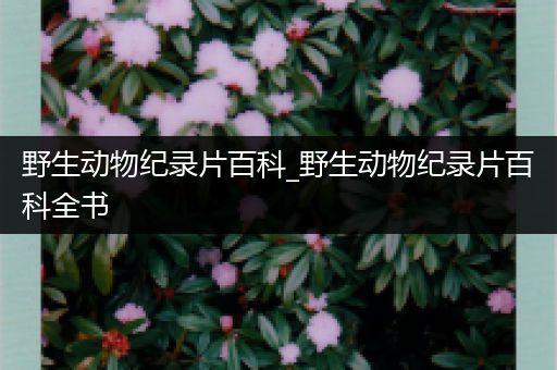 野生动物纪录片百科_野生动物纪录片百科全书
