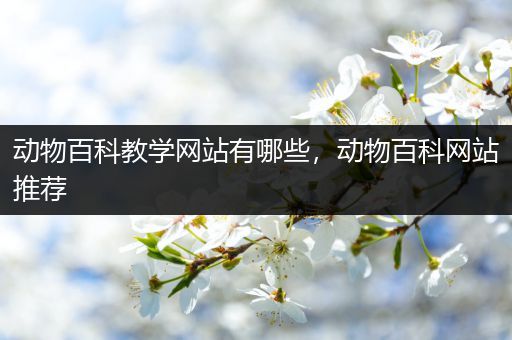动物百科教学网站有哪些，动物百科网站推荐