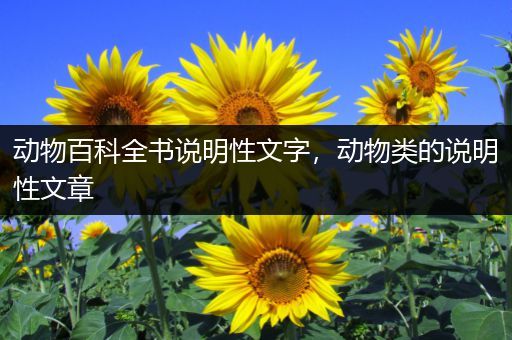 动物百科全书说明性文字，动物类的说明性文章