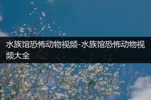 水族馆恐怖动物视频-水族馆恐怖动物视频大全