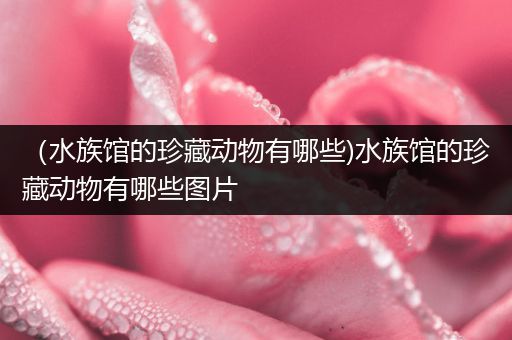 （水族馆的珍藏动物有哪些)水族馆的珍藏动物有哪些图片