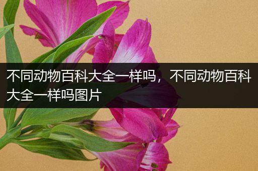 不同动物百科大全一样吗，不同动物百科大全一样吗图片