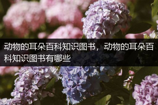 动物的耳朵百科知识图书，动物的耳朵百科知识图书有哪些